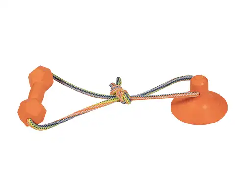 Pet Foam Dumbbell with Suction Cup