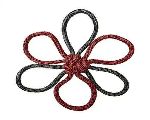 Pet Rope Boomerang